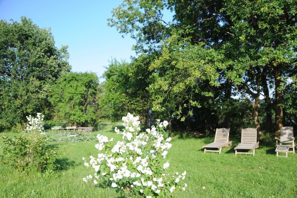 Romantisches Studio Am Waldesrand Mit Gartensauna Schwarz ภายนอก รูปภาพ