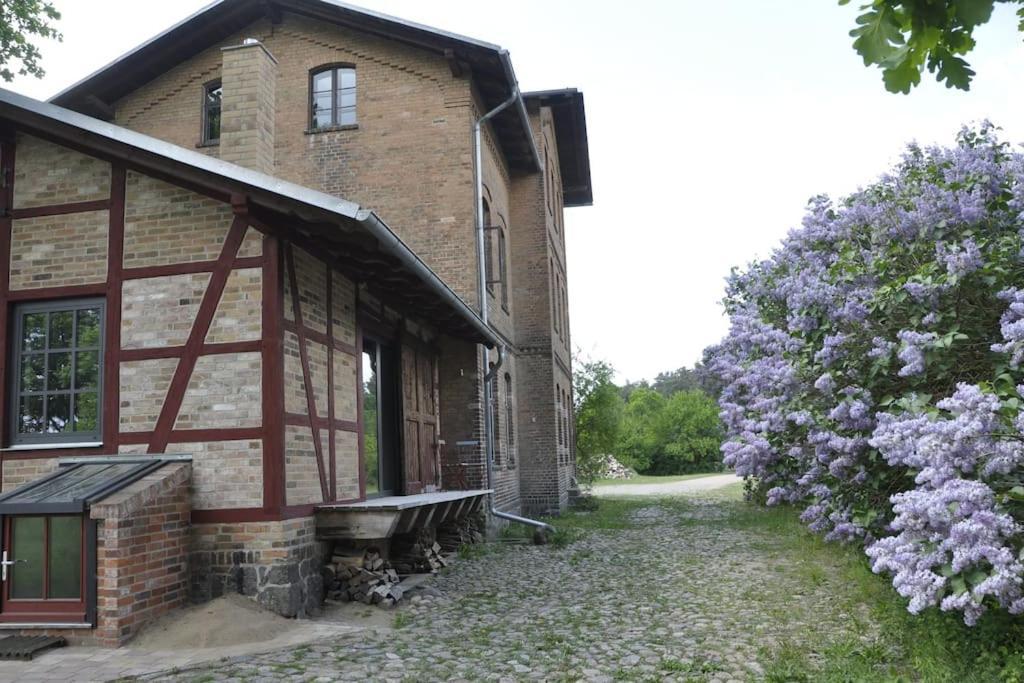 Romantisches Studio Am Waldesrand Mit Gartensauna Schwarz ภายนอก รูปภาพ